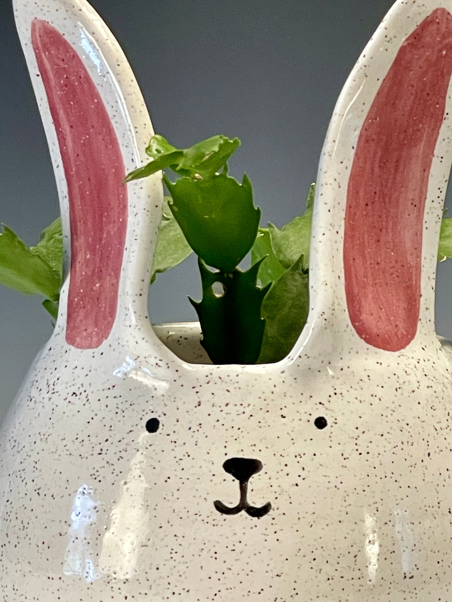 Happy Bunny Planter, Medium